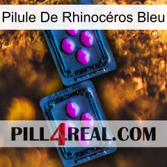 Pilule De Rhinocéros Bleu 03